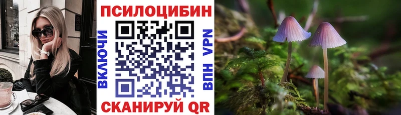 Псилоцибиновые грибы мухоморы  закладки  Уварово 
