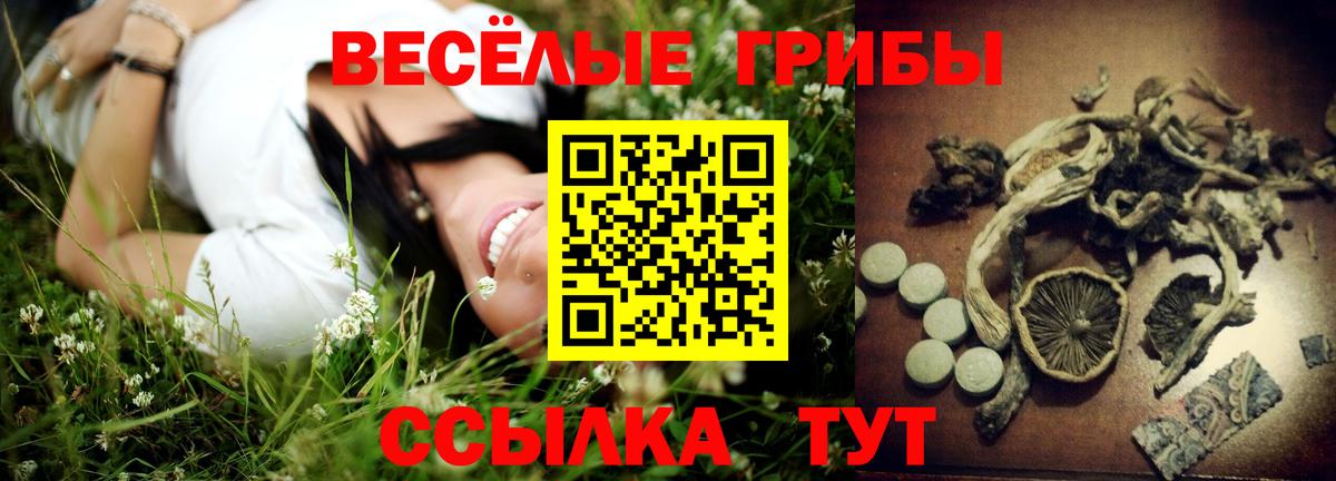 Уварово  Псилоцибиновые грибы Cubensis  Вход с VPN 