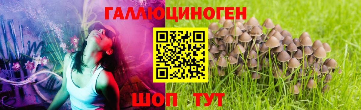 Псилоцибиновые грибы GOLDEN TEACHER Уварово